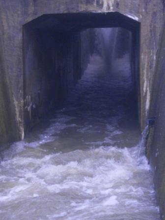 P3310010