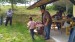 IMG-20240511-WA0025