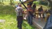 IMG-20240511-WA0058
