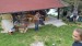 IMG-20240511-WA0090