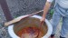IMG-20240511-WA0100